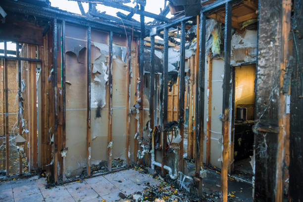 Professional Fire Damage Removal technician working in Vashon, WA