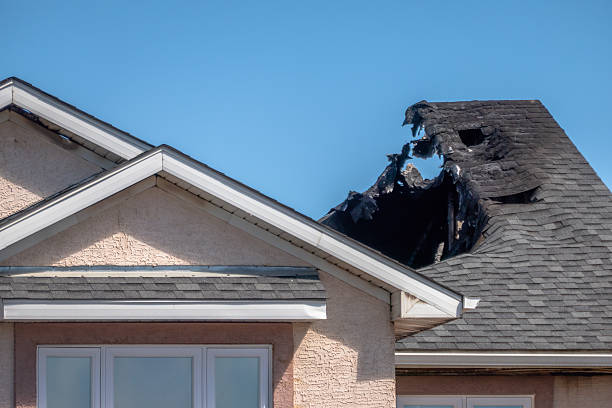 Top rated local Fire Damage Removal specialists in Vashon, WA